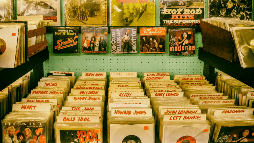 Rows of vinyl records displayed in a retro record store