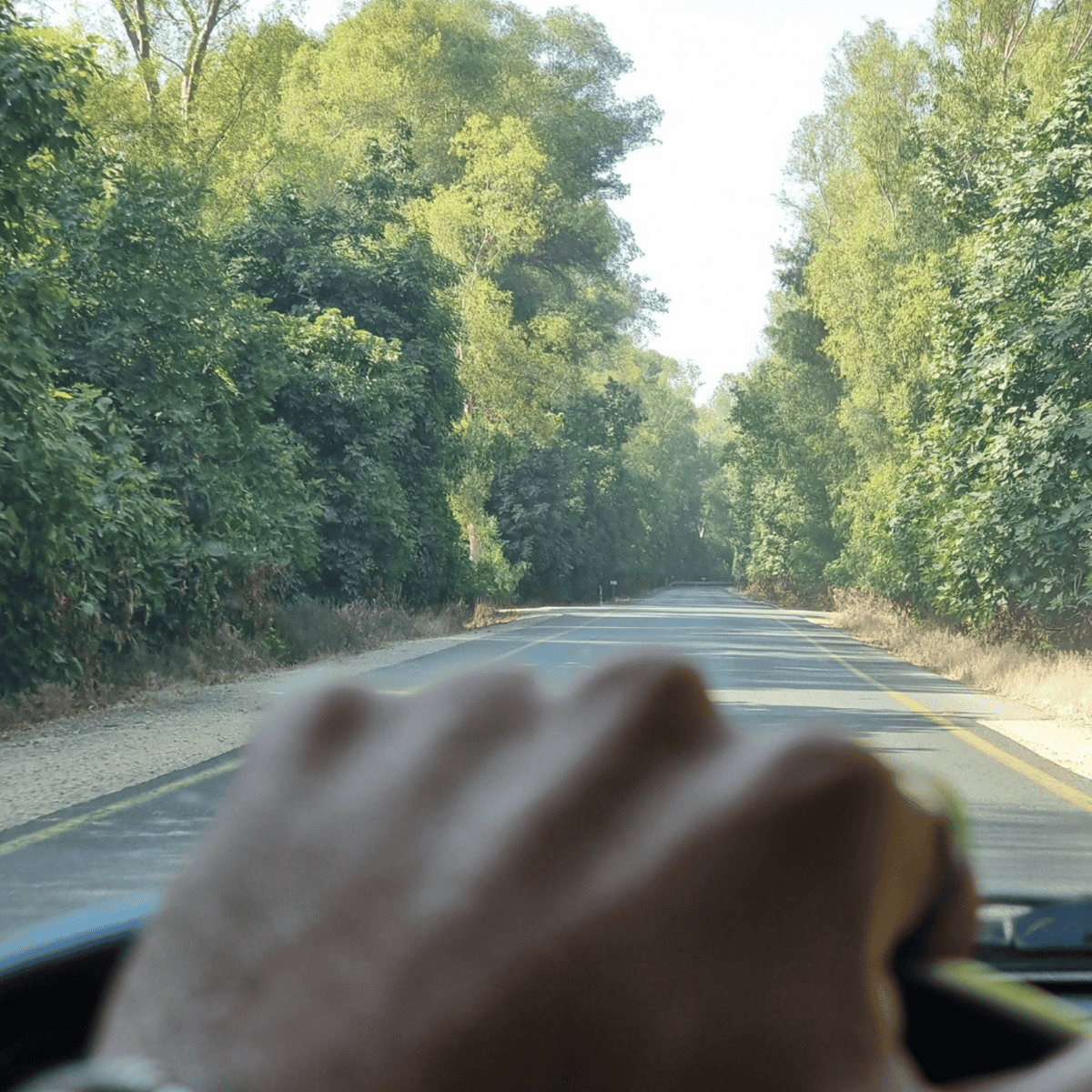 Untitled design (23)