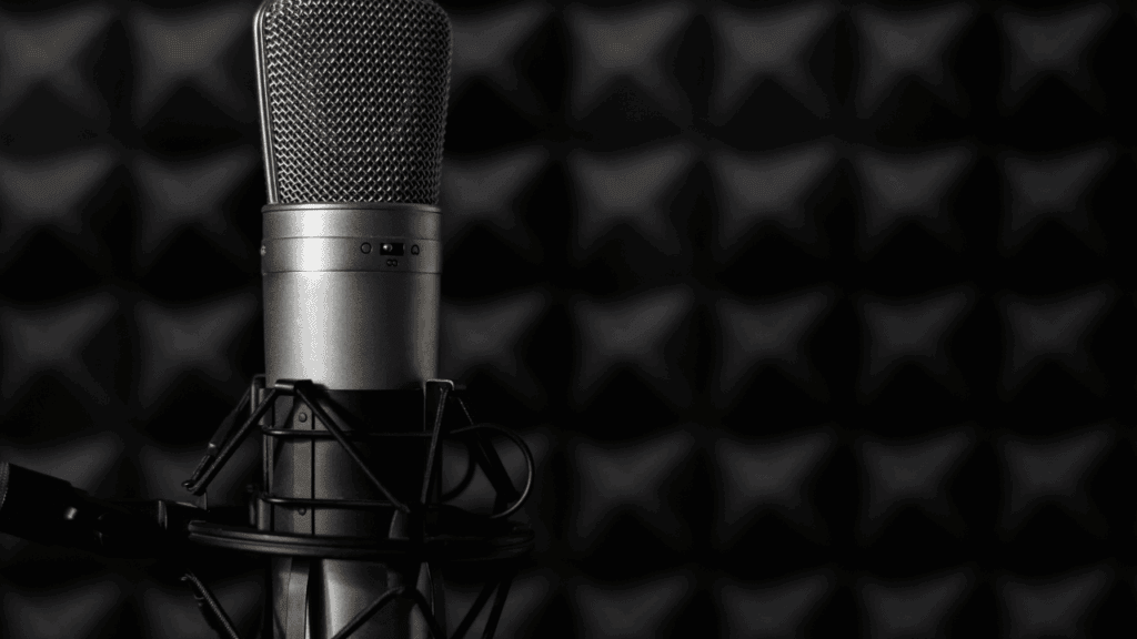 Microphone in front of black acoustic foam panels in a sound-treated recording space