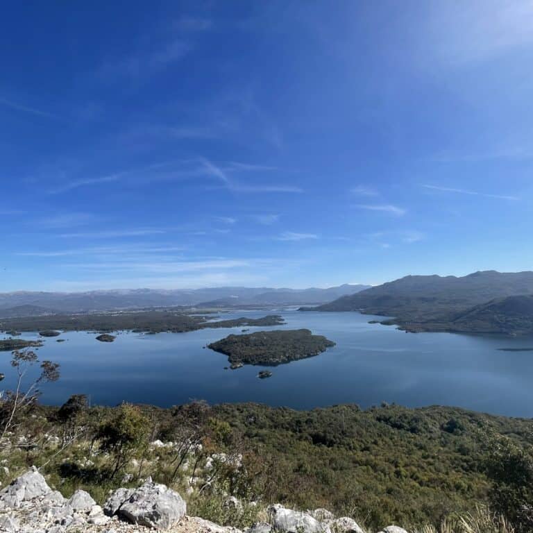 425EBF1B-C932-45E9-BDD8-57C51133A513