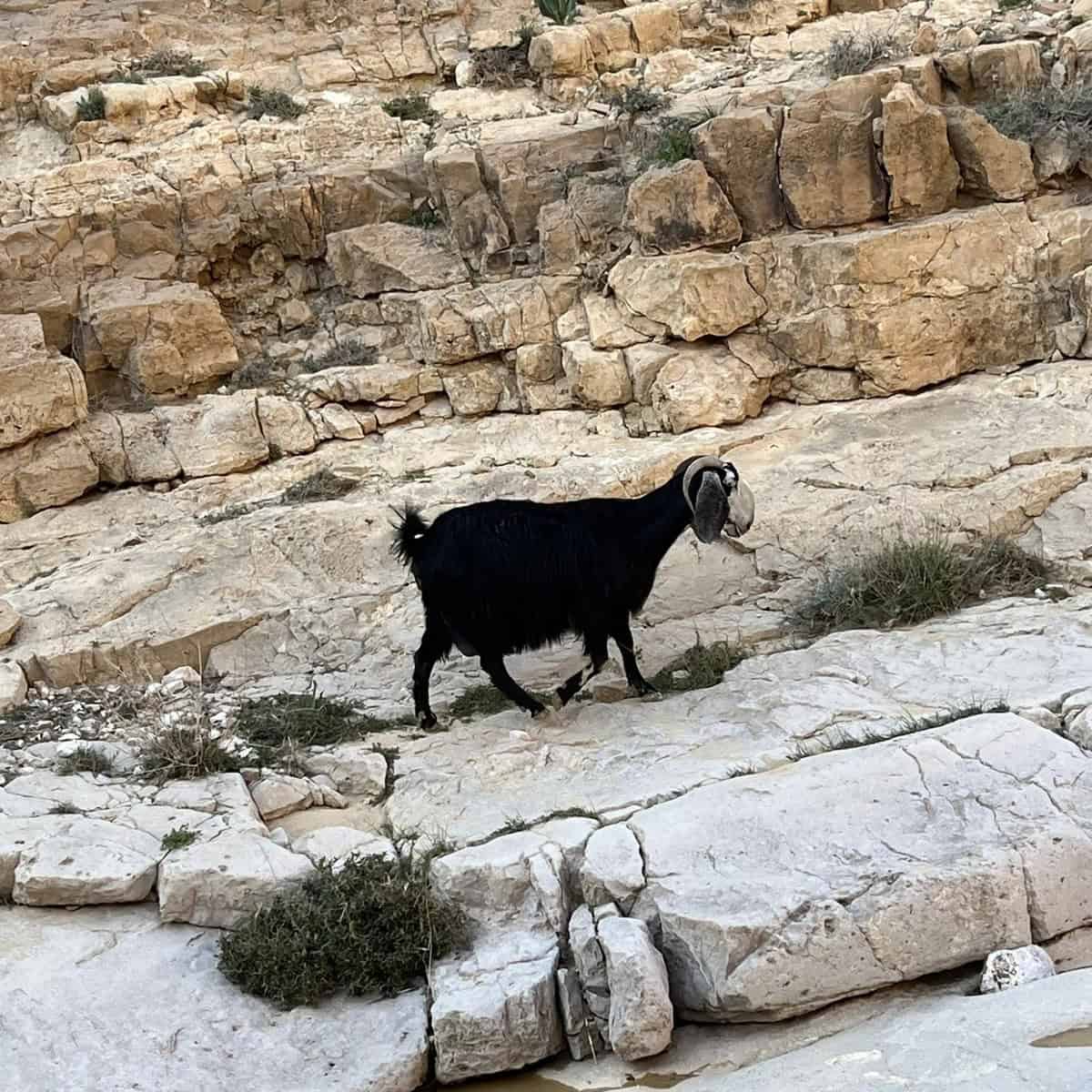 CB494ABA-6118-4B2C-967F-7D14A9C00539