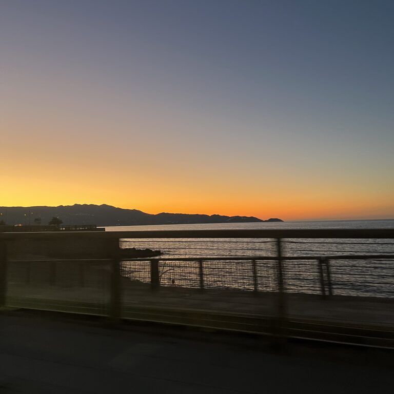 B36C27FF-5569-4A3F-8AC4-C8EBBB71FEA3