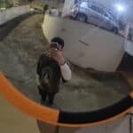 IMG_20250503_184622_404